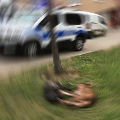 Caniler çocuk parkında 2 köpeğe kurşun yağdırdı!