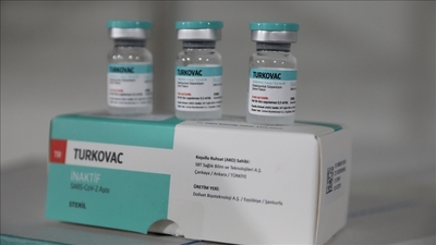 Turkovac'ı geliştiren Prof. Dr. Özdarendeli'den açıklama