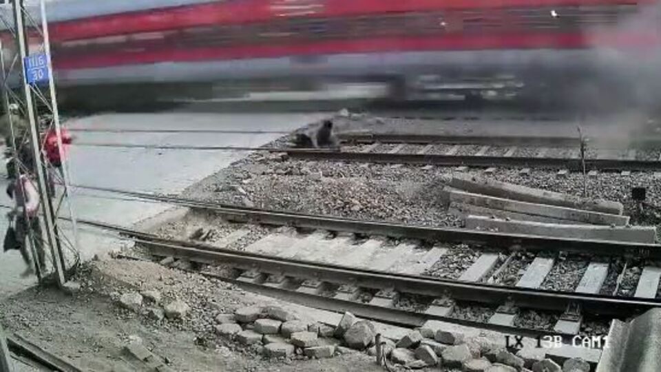 Trenin altında kalmaktan son anda kurtuldu!