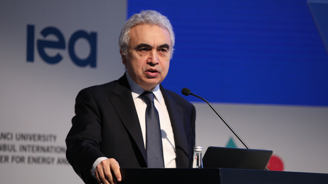 OPEC+ grubuna petrol üretim çağrısı