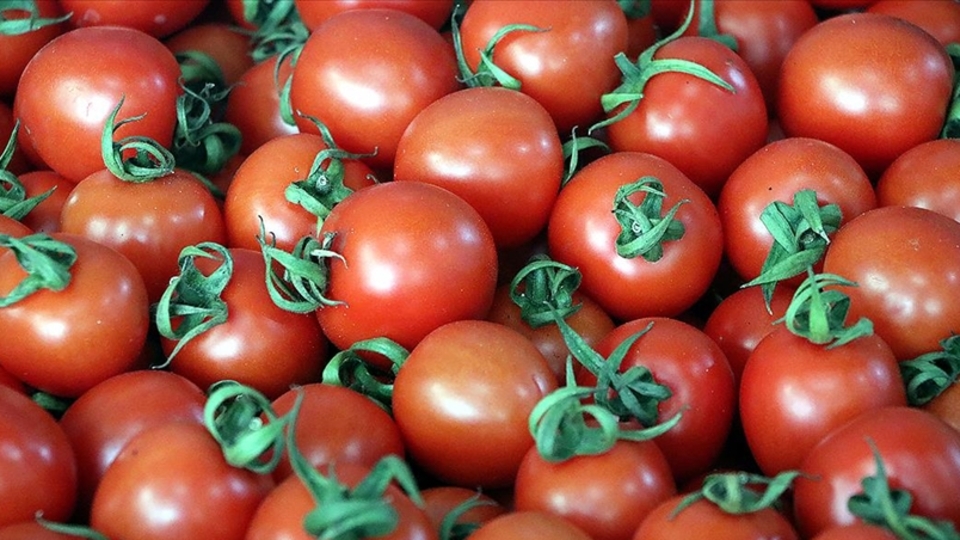 Domatesten 1 milyar dolar gelir hedefi