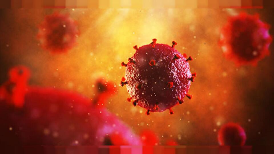 Dünyada ilk kez bir kadın HIV'den kurtuldu