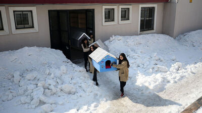 Öğrencilerden sevimli dostlara kulübe