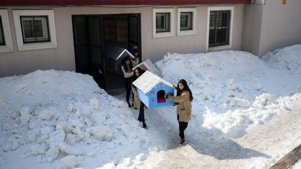 Öğrencilerden sevimli dostlara kulübe