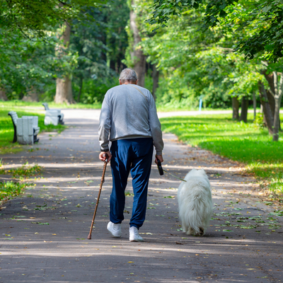 70'li yaşlara öneri! 20 dakika bunu yaparsanız...