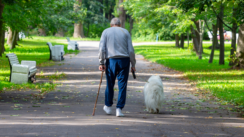 70'li yaşlara öneri! 20 dakika bunu yaparsanız...