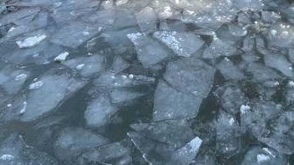 Buz tutan havuzda oyun faciayla bitti!