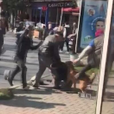 Ağızlık takmadı! İnsanların üzerine saldı! Pitbull mu suçlu?