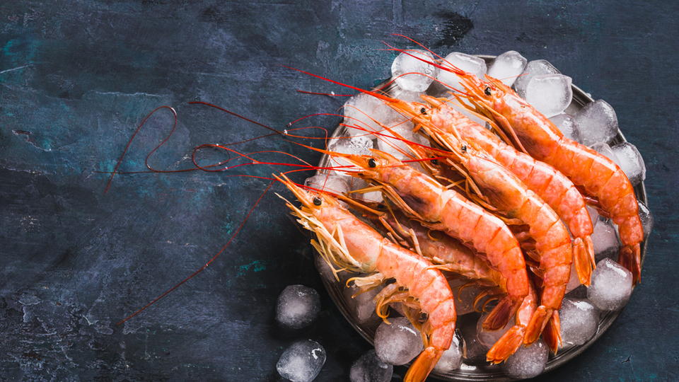 Karidesin faydaları