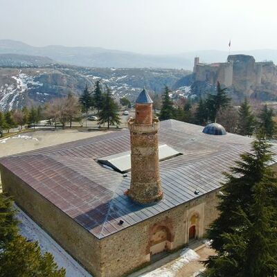 Giden görmeden dönmüyor! İşte ilginç özelliği