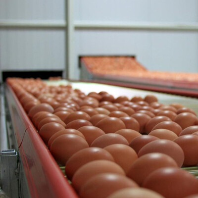 Bakanlık'tan yumurta fiyatlarına inceleme