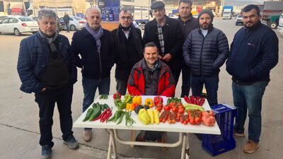 Sebze neden pahalı? Tarladan markete domatesin hikayesi