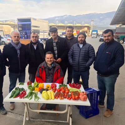 Sebze neden pahalı? Tarladan markete domatesin hikayesi