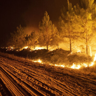 Arjantin'de haftalardır süren yangın!