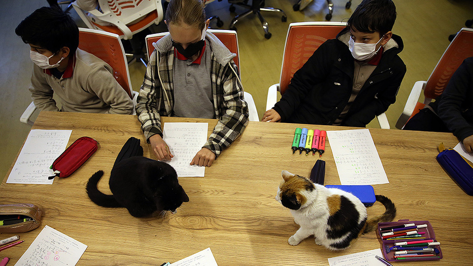 Sınıfın neşe kaynağı oldular