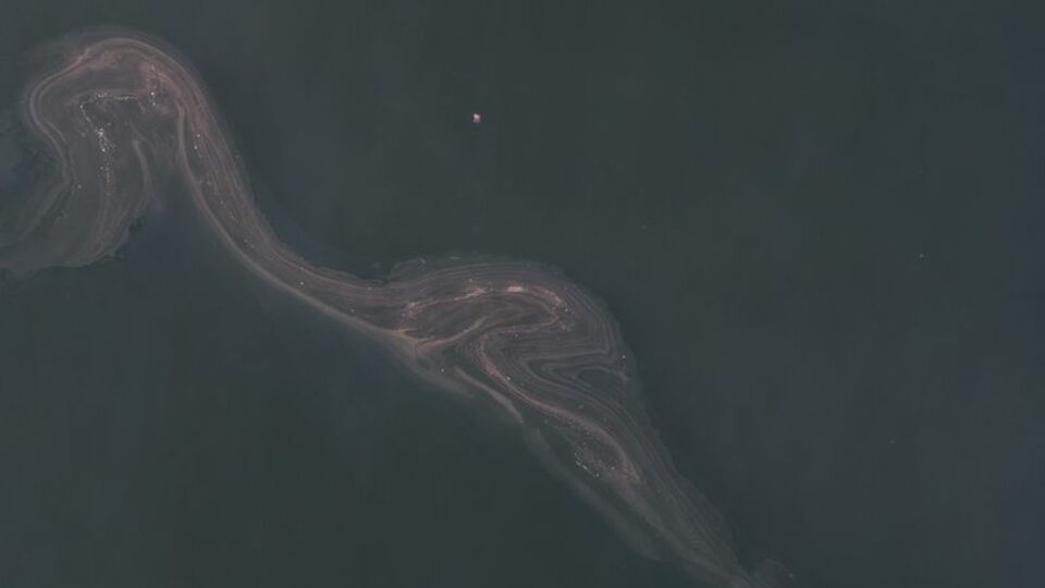 İstanbul'da müsilaj geri mi döndü?