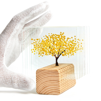 'Genç Caz+' başvuruları başladı