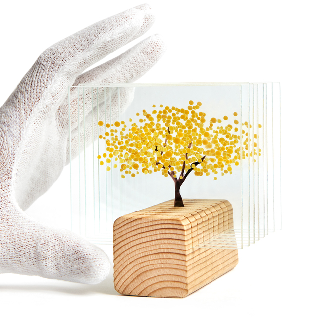 'Genç Caz+' başvuruları başladı