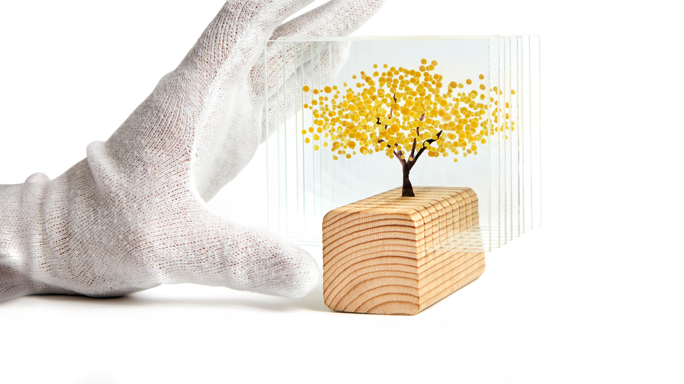 'Genç Caz+' başvuruları başladı