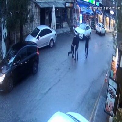 Bu arbede sonrası ölüm geldi!