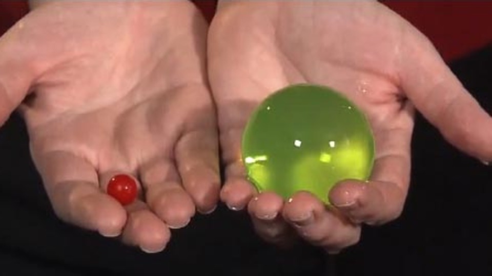 Ölümcül risk! Su maymuncuğu tehlike saçıyor