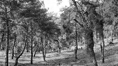 'Fotoğrafik Bir Keşif' sergisi açıldı