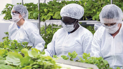 Kanada'da dünyanın ilk bitki bazlı Covid-19 aşısı onaylandı