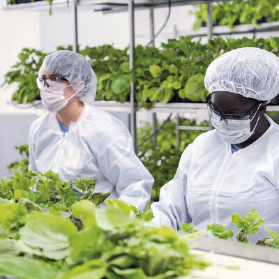 Kanada'da dünyanın ilk bitki bazlı Covid-19 aşısı onaylandı