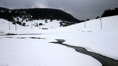 Yeşille beyazı buluşturan yayla