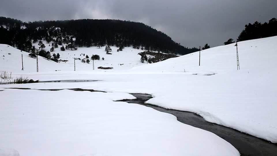 Yeşille beyazı buluşturan yayla