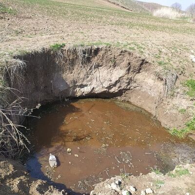 Biri 3 diğeri 2 yaşında! Kahreden haber!