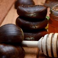 Kestane balının faydaları