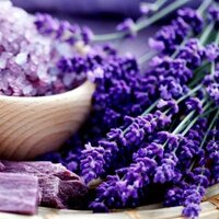 Lavantanın faydaları