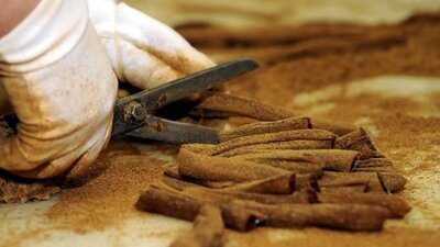 Mesir macunu faydaları