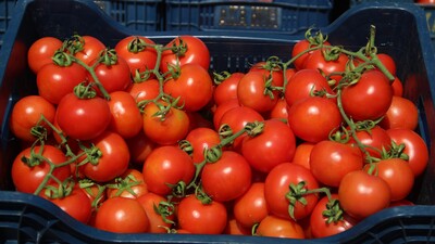 Meyve sebze fiyatlarında savaş indirimi