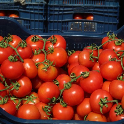 Meyve sebze fiyatlarında savaş indirimi