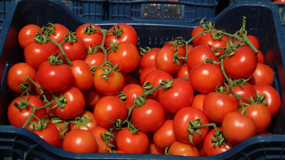 Meyve sebze fiyatlarında savaş indirimi