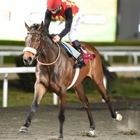 Atlar, kadınlar için koşacak