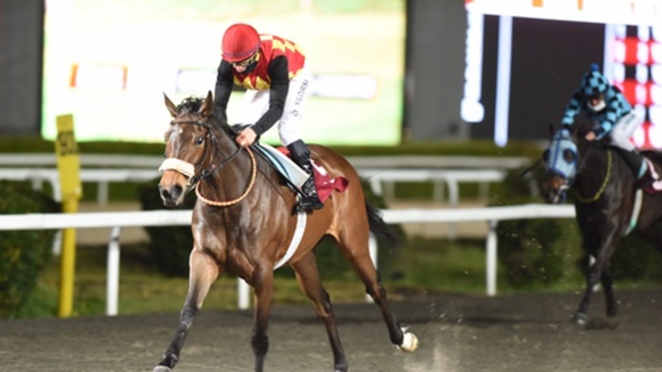 Atlar, kadınlar için koşacak