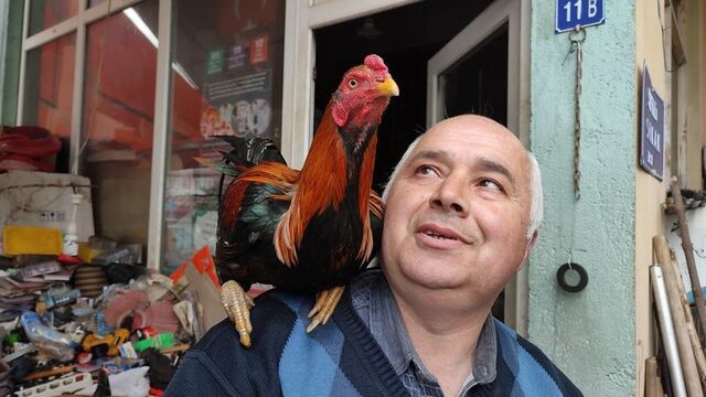 İşe her gün böyle gidiyor