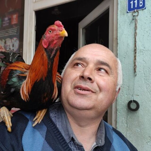 İşe her gün böyle gidiyor