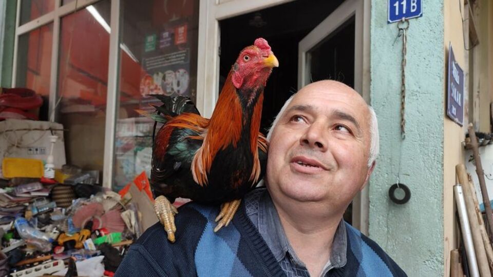 İşe her gün böyle gidiyor