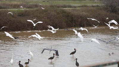 'Leylek Köyü' şenlendi