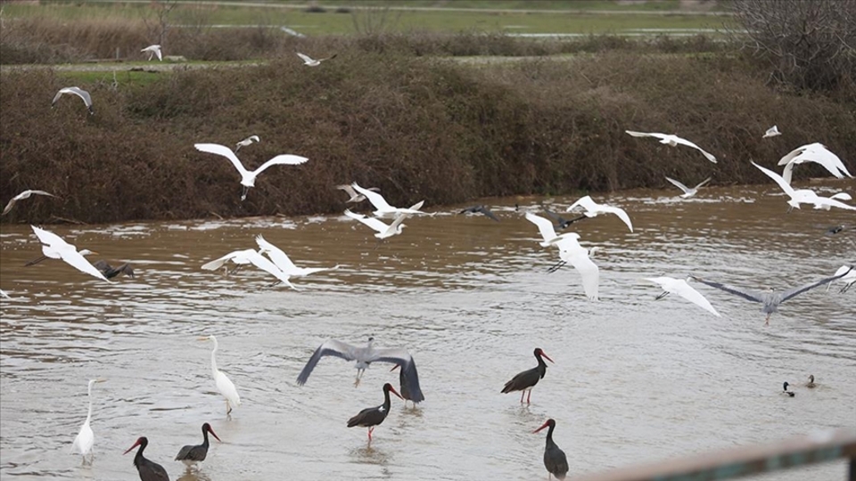 'Leylek Köyü' şenlendi