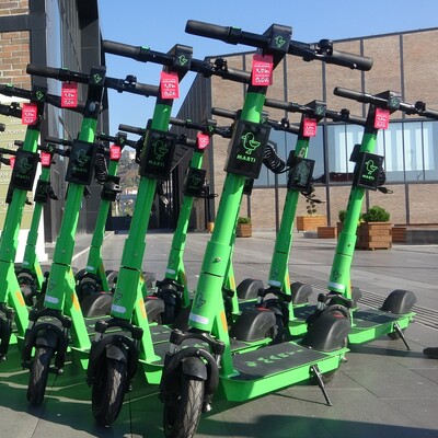 Martı'yı kaçırmışlar