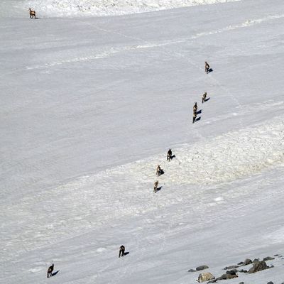 'Görülmesi neredeyse imkansızdır'