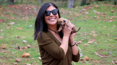 Karavanıyla sokak hayvanlarına sıcak yemek dağıtıyor