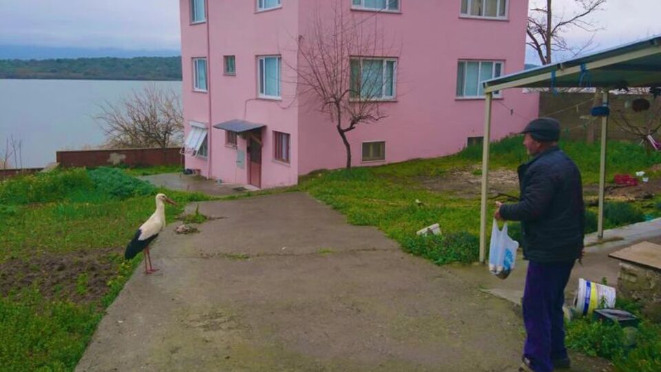 11'inci kez gelmişti! Adem Amca göle açılamayınca...