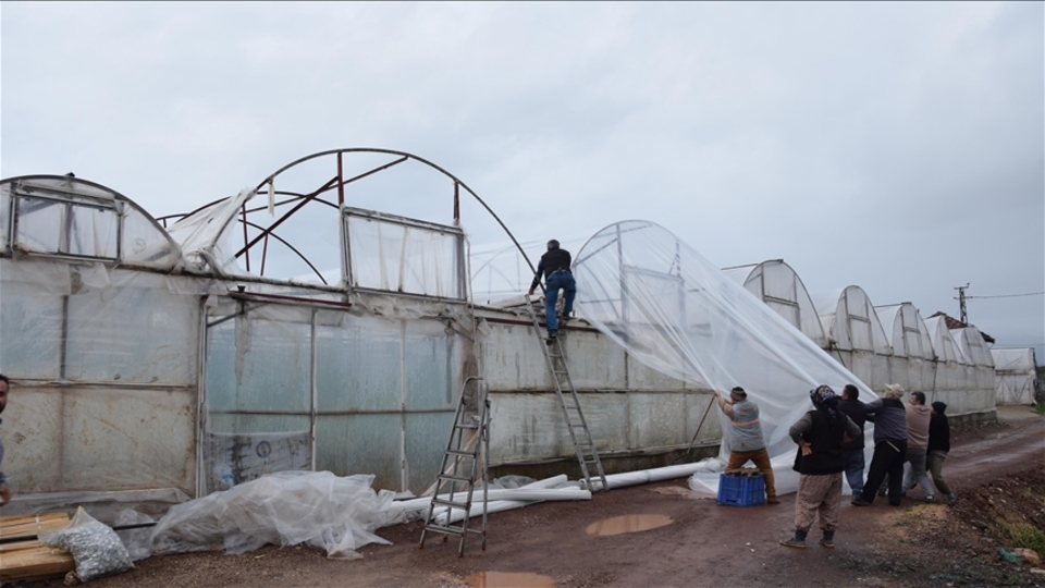 TARSİM'den 61.5 milyon TL hasar ödemesi