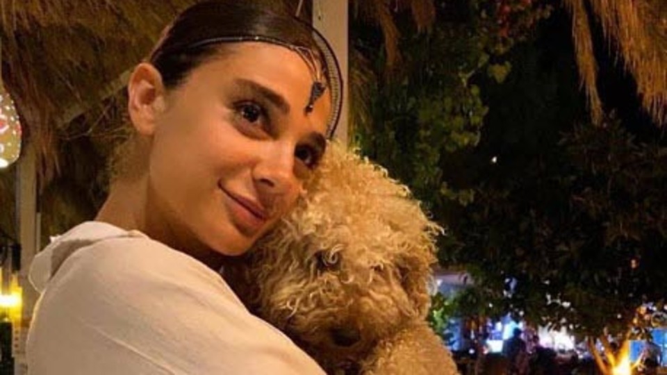 Pınar Gültekin davasında yeni gelişme!